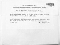 Image Associated With the Occurence
